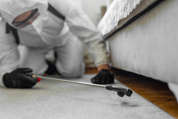 Professional Termite Control technician working in Uniontown, OH