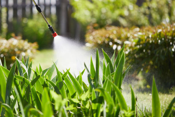 24/7 Emergency Termite Control experts in Uniontown, OH