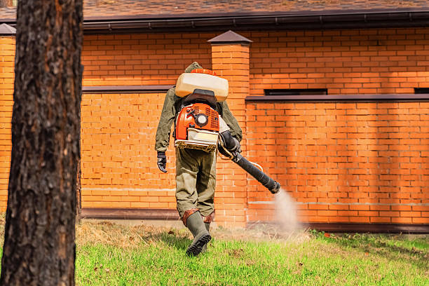 Trusted Cockroach Control service in Uniontown, OH - Nex Pest Control